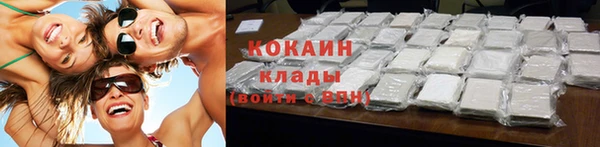 ПСИЛОЦИБИНОВЫЕ ГРИБЫ Богданович