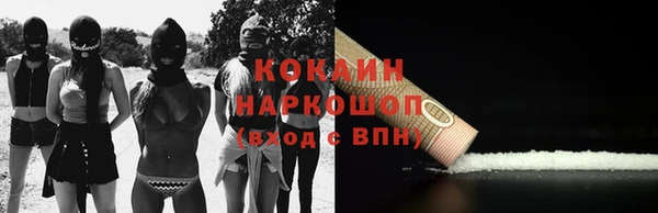 ПСИЛОЦИБИНОВЫЕ ГРИБЫ Богданович