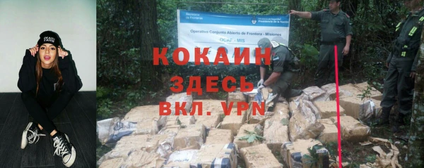 ПСИЛОЦИБИНОВЫЕ ГРИБЫ Богданович