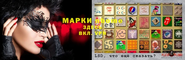 ГАЛЛЮЦИНОГЕННЫЕ ГРИБЫ Богородск