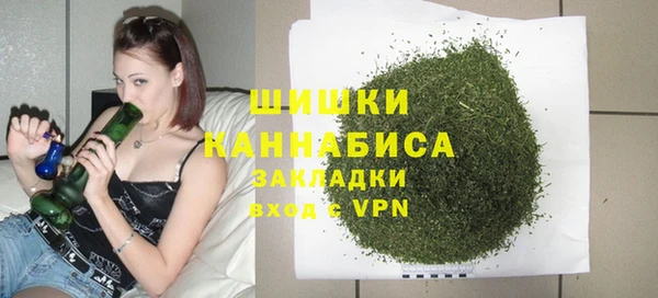 индика Беломорск