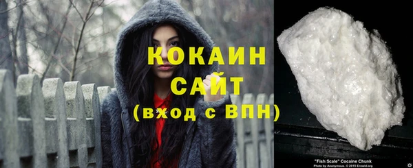 ПСИЛОЦИБИНОВЫЕ ГРИБЫ Богданович