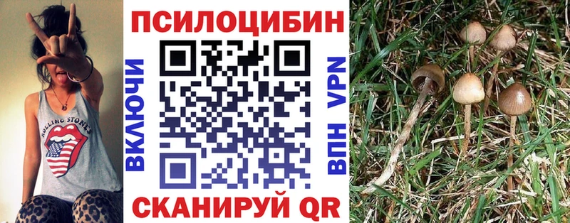 Псилоцибиновые грибы прущие грибы  площадка как зайти  Волгореченск  наркошоп  ссылка на мегу зеркало 